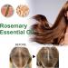  JPSDOWS Pure Rosemary Oil - Hair Oil for Smooth Hair 4.22 fl oz. Oz Advanced Organic Nourishing Rosemary Essential Oil for Thinning Hair and Scalp Jpsdows - Buy Online on GoSupps.com