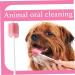 Mouth Swabs for Dogs - 100pcs Disposable Teeth Cleaning Kit | Best Dental Care - Buy Online on GoSupps.com