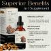 Auri Nutrition Super Chaga Elixir - Mushroom Superfood Liquid Supplement with Full Spectrum Immune Support from Oxidative Stress and Energy Lift - Chaga Tincture 60ml - Buy Online on GoSupps.com