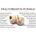 Organic N Natural PROUDLY CANADIAN Garlic Powder-Coarse Granulated NO Preservatives-100% Natural 100g PREMIUM Gourmet Spice Great for Cooking Baking Seasoning - Buy Online on GoSupps.com