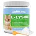 Alpha Paw - Human Grade for Pets - Cat Lysine Supplement - Extra Servings 5-10 Month Supply - Immune System, Eye, Respiratory, Nasal & Sinus-Tract Support (8 Ounces/225 Grams)