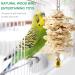 Bird Parrot Toys Swing Hanging - 18 Piece Set for Parakeets, Cockatiels, Lovebirds, Conures, Budgie, Macaws, Finches and Small Pets - Cage Accessories with Perch, Ladder, Chewing Toys, Hammock - Buy Online on GoSupps.com