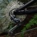SHIMANO Deore 12 CS-M6100 Cassette Silver - 10-51T | High-Quality Mountain Bike Gear - Buy Online on GoSupps.com