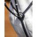 LeMieux Breastplate with Detachable Martingale Black Cob - Buy Online on GoSupps.com