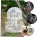 TEHAUX Strawberry Mold 2pcs Vegetable Shaping Mold Fruit Strawberry Tool Practical Ginseng Shaping Mold Cucumber Small Mold Transparent 10x7cm - Buy Online on GoSupps.com