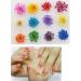 XICHEN 120 PCS 3D Nail Stickers - Five Flower Dried Flower Applique for Nail Art - Buy Online on GoSupps.com