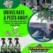 Protects™ Olfactory Deterrent & Odor Eliminator | 65 oz Peppermint | Prevent Rats from Chewing Wires & Cables | Safe Pest Control Solution - Buy Online on GoSupps.com