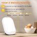 LASTAR Sun Light 10 000 LUX UV-Free Daylight Lamp with Memory Function 5 Adjustable Brightness Levels and 4 Timer Funtion Sunlight Lamp Compact Size for Winter Blues Wall Mountable Support Smart Plug Light White - Buy Online on GoSupps.com