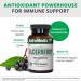NutraMedix Elderberry Antioxidants Supplement Capsules - Elderberry Extract to Promote a Healthy Inflammatory Response Daily Immune Support and Bowel Health (60 Capsules) - Buy Online on GoSupps.com