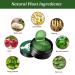 Seegras Punish Eye Mask Hydrating Green Seatang Crystal Under Eye Patches for Wrinkles & Swollen Eyes (120 pcs) - Buy Online on GoSupps.com