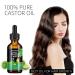 Organic Jamaican Black Castor Oil Hair Growth Oil - 100% Pure Cold Pressed Serum for Hair Face Eyelashes & Nails - Buy Online on GoSupps.com