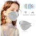 50/100PC Gray Fish Type Disposable_Face_Coverings 4-Ply Comfortable For Adults Outdoor Daily Use 50pc - Buy Online on GoSupps.com