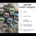 Aromi Solid Cologne | Sandalwood Musk Woods and Bergamot Fragrance Travel Alcohol-Free Wax-Based Scent Vegan Cruelty-free Men's Stocking Stuffer Gift (Very Manly) - Buy Online on GoSupps.com