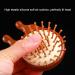 Multifunctional Wooden Massage Hair Brush & Scalp Cushion Portable Comb for Home & Travel - Buy Online on GoSupps.com