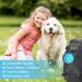 Pet Carrier Sling with Silicone Water Bowl Hands-free Shoulder Small Pet Tote Bag for Cat Puppy Animals Under 3kg Breathable Mesh Crossbody Bag Adjustable Shoulder Strap for Walking Travel Outdoor - Buy Online on GoSupps.com