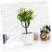 Zerodeko 2pcs Faux Lemon Potted Plant Mini Greenery Faux Plants Indoor Artificial Fruit Tree Bonsai Summer Flower Decor Ornament Office Lemon Tree Decors Plastic Desktop Decorations Yellow 11x6.5x26cm - Buy Online on GoSupps.com