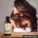 Pure Cold-Pressed Extra Virgin Olive Oil 250ml - Natural Carrier Oil for Skin Hair & Body Care - Ideal for Massage & Cosmetics - Buy Online on GoSupps.com