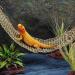 Balacoo Reptile Hammock Handmade Woven Lizard Lounger Natural Sea Grass Pet Mat with Suction Cups for Gecko Snakes Bearded Dragon Tank Accessories 75x18cm Beige - Buy Online on GoSupps.com