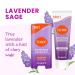 Lume Whole Body Deodorant - Invisible Cream and Solid - 72 Hour Odor Control - Aluminum Free Baking Soda Free Skin Safe - 3.0 Ounce Cream and 2.6 Ounce Solid Bundle (Lavender Sage) - Buy Online on GoSupps.com