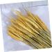 HOMSFOU 1 Dried Flowers Flower Basket Wheat - Buy Online on GoSupps.com