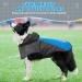 Waterproof Dog Raincoat Jacket for Small, Medium, Large Dogs - Blue & Grey Medium Size - Buy Online on GoSupps.com
