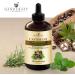 Castor Oil with Rosemary & Peppermint for Hair Growth, Eyelashes & Eyebrows - 100% Pure Carrier Oil - 4 fl. Oz - Buy Online on GoSupps.com