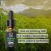 Magamed Premium Hemp Seed Oil 20% - 10ml Vegan Drops | Organic High Dose Hemp Oil | Lab-Tested Quality - Buy Online on GoSupps.com