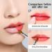 Arqumi Double-Ended Lip Makeup Brush | Lightweight Retractable Lip & Eyeshadow Applicator for Daily & Travel Use | Protective Lid | Ideal for Women & Girls - Buy Online on GoSupps.com