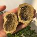 1pc 60-80mm Natural Pyrite Crystal Cluster Aquarium Suitable for Home HOMEZHOU (Size : 5pcs) - Buy Online on GoSupps.com