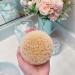 EcoTools Dry Brush - Natural Body Exfoliation & Massage Tool - Buy Online on GoSupps.com
