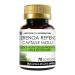LABOTTEGADEGLIINTEGRATORI SERENOA REPENS 70 SOFTGELS WITH 320 MG OIL STANDARDIZED AT 90 SOFT CAPSULES FOR THE PROSTATE AND URINARY TRACT 1 SOFTGEL CAPSULE PER DAY