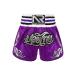 Loloda Muay Thai Shorts for Men Women Kick Martial Arts MMA Gym Boxing Kickboxing Shorts Purple Medium