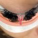 FmtwPhn Silicone Eyelash Separator Tool Reusable Eye Lash Separator Lift Tool in Silicone - Beginner-Friendly Eyelash Grafting Speeder for Traveling Gathering Dating Pink - Buy Online on GoSupps.com