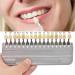 16 Colors Teeth Whitening Shade Guide | Porcelain Tooth Bleaching Chart for Professionals & Home Use - Buy Online on GoSupps.com