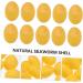 POPETPOP 24 Pcs Silk Ball Facial Cleanser Balls Beauty Cleaning Cocoons Silkworm Chrysalis Shell Skin Care Scrub Ball Facial Cleansing Cocoons Ball Pure Natural Silk Pack Face 1 count (Pack of 1) Yellowx2pcs - Buy Online on GoSupps.com