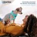 Petex Dog Harness for Small & Medium Dogs - TUV Tested Air Mesh Technology Reflective & Breathable - Made in Europe - Baby Blue XS - Buy Online on GoSupps.com