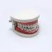 Toyofmine Tooth Grinding Storage Case Hot Dental Mouth Guard Bruxism Splint Night Sleeping - Buy Online on GoSupps.com