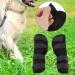 2PCS Dog Leg Brace Dogs foreleg/Rear Legs Surgical Injury Wound Protector Hock Joint Wraps Kneecap for Injuries Sprains Arthritis (Black M) - Buy Online on GoSupps.com