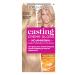 L'Oreal Paris Casting Creme Gloss semi-permanent hair dye Blends away grey hair leaving a radiant hair colour Blonde hair dye 1010 Light Iced Blonde 1 Count (Pack of 1) 1010 Light Iced Blonde 1 Count (Pack of 1)