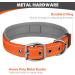 Joytale Orange Neoprene Dog Collar for Extra Large Dogs - Softly Padded & Reflective Nylon - XL Size (1 Pack) - Buy Online on GoSupps.com