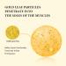 24K Gold Natural Soap - Handmade Cleanser for Face & Body - Exfoliating Moisturizing and Anti-Aging - Organic Tender Complexion - Clean Skin Reduce Pore Dirt - Buy Online on GoSupps.com