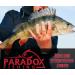 Paradox Fishing Rod Bands 4pcs/8pcs - Velcro Tape Rod Protection & Fishing Accessories - Buy Online on GoSupps.com
