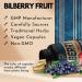 10in1 Bilberry Extract Capsules 9260mg with Grape Seed, Carrot, Elderberry, Eyebright, Quercetin - 90 Caps for Healthy Eyes, Sight & Vision - Non-GMO, Gluten Free - Buy Online on GoSupps.com
