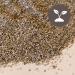 Terra Exotica Vermiculite 100 liters (fine 0-3 mm)
