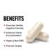 Buy FORCE FACTOR DMAE Supplement for Focus & Cognitive Function | Vegan Neurotransmitter Support 100 Capsules - International Shipping Available - Buy Online on GoSupps.com