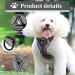 Fineasy Adjustable Cat Dishes & Leash Set - Outbreak-Proof Harness for Cats & Kittens - Gray Medium - Buy Online on GoSupps.com
