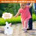ZBATHTOY Interactive Rabbit Toy for 1-6 Year Old Boys and Girls | Birthday Gift for Toddlers | Educational Pet Toy for Kids Age 6M - Buy Online on GoSupps.com