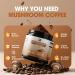 Mushroom Coffee - Lions Mane Mushroom Powder Instant Coffee with Lion's Mane Reishi Chaga Cordyceps and Turkey Tail - Mushroom Coffe Alternative for Energy Mental Clarity & Focus Brain Booster Cacao 4.23 Ounce (Pack o  - Buy Online on GoSupps.com