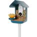 Bird Buddy Original 3-in-1 Feeding Set | Water Fountain Fruit Skewer & Jelly Tray - Blue Color | International Shipping - Buy Online on GoSupps.com