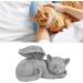 Qcwwy Pet Memorial Statue | Angel Cat Grave Marker | Resin Sleeping Pet Angel Sculpture | Tribute Ornament for Pet Memorials - Buy Online on GoSupps.com